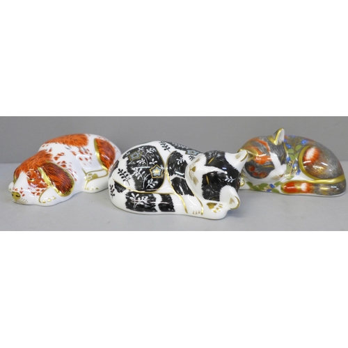 661 - Three Royal Crown Derby paperweights, all with gold stoppers, Catnip Kitten, Misty and Puppy