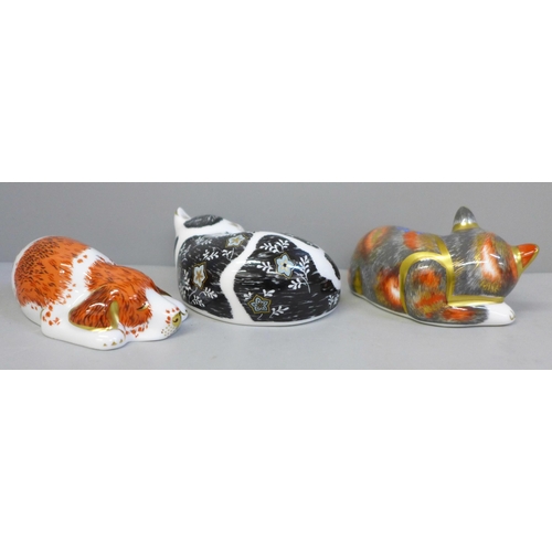 661 - Three Royal Crown Derby paperweights, all with gold stoppers, Catnip Kitten, Misty and Puppy
