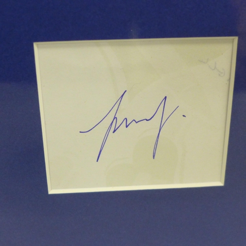 792B - Cat Stevens signed display signed Yusuf