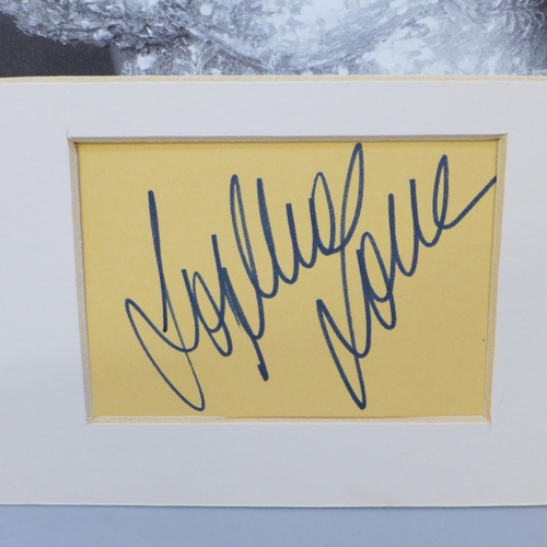 792K - Film star autographs; Angela Lansbury signed display and Sophia Loren signed display