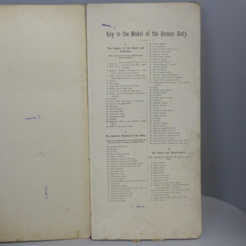 794 - Philips' Popular Mannikin and one volume, Deschanel's Natural Philosophy, 1903