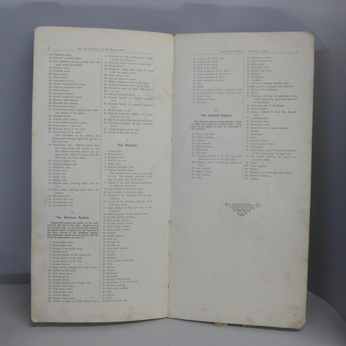 794 - Philips' Popular Mannikin and one volume, Deschanel's Natural Philosophy, 1903