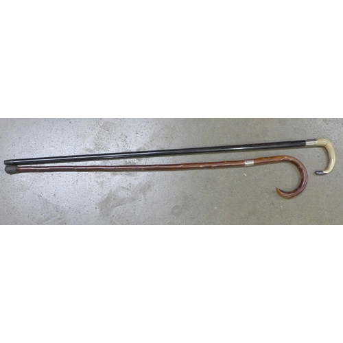 834 - Two walking sticks with silver collars, one with horn handle