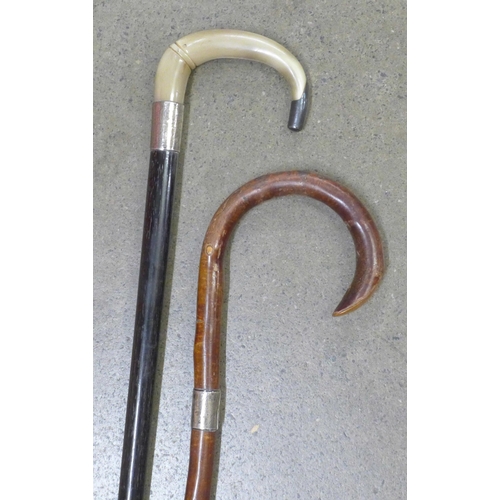 834 - Two walking sticks with silver collars, one with horn handle