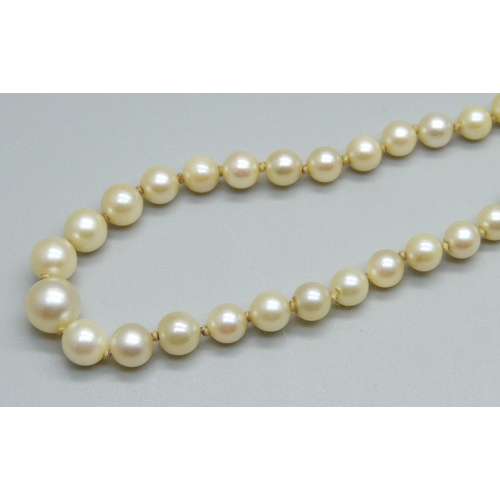 941 - A Ciro pearl necklet with 9ct white gold clasp, 46.5cm