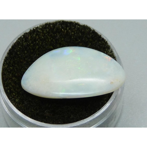 953 - An unmounted opal, 1.7g, length 23mm