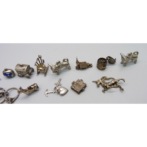 984 - Seventeen silver and white metal charms including enamelled and one by Chim, 47g