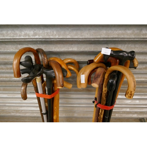 2304 - 24 assorted walking sticks