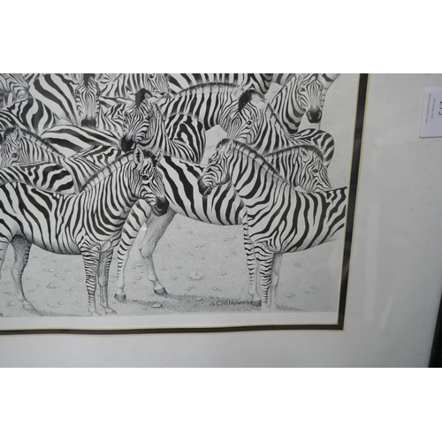 275 - A S.C. Millward print, zebras and one other