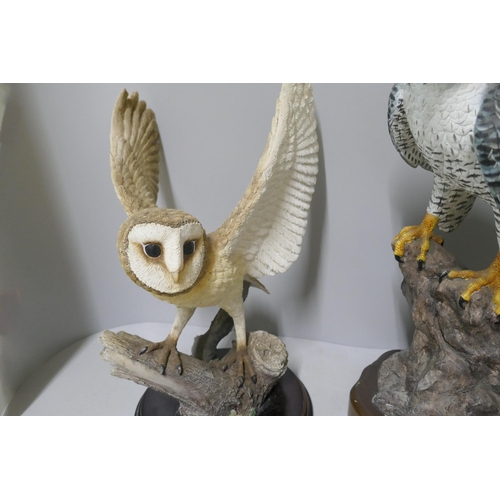 325 - Two large models of birds, Tang's Art Design Co. Peregrine Falcon and a Leonardo Collection barn owl... 