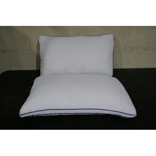 3009 - Pair of polyester pillows * this lot is subject to VAT