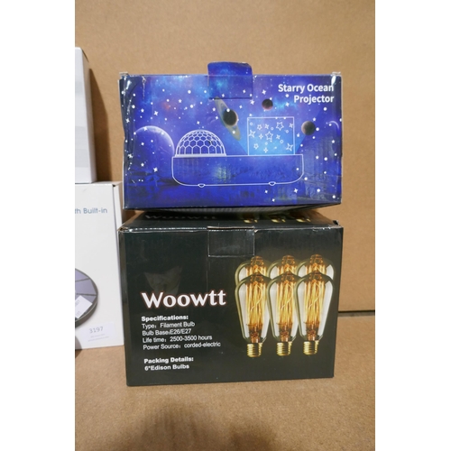 3197 - Assorted lighting and bulbs - various styles  * This lot is subject to vat