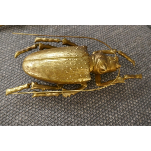1430 - Two gold ornamental beetles