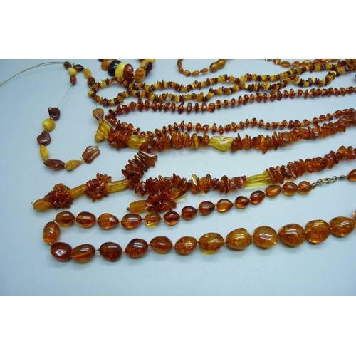 1004 - A collection of eight amber bead necklaces and a bracelet