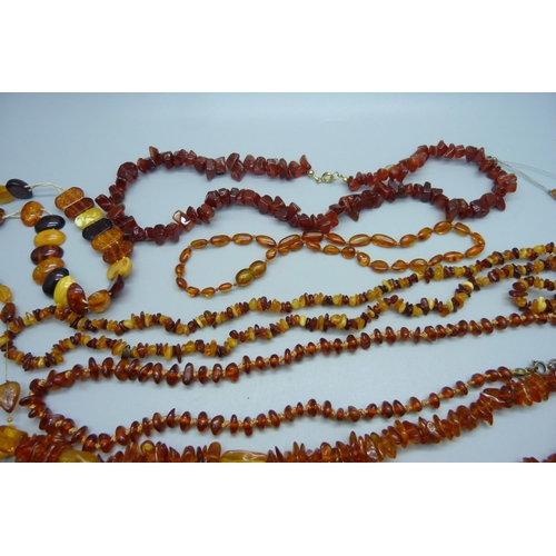 1004 - A collection of eight amber bead necklaces and a bracelet