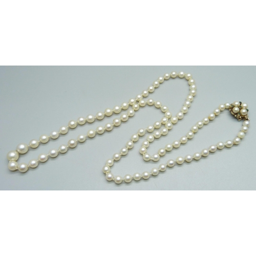 938 - A string of cultured pearls with a 9ct gold clasp set with pearls and turquoise, 58cm