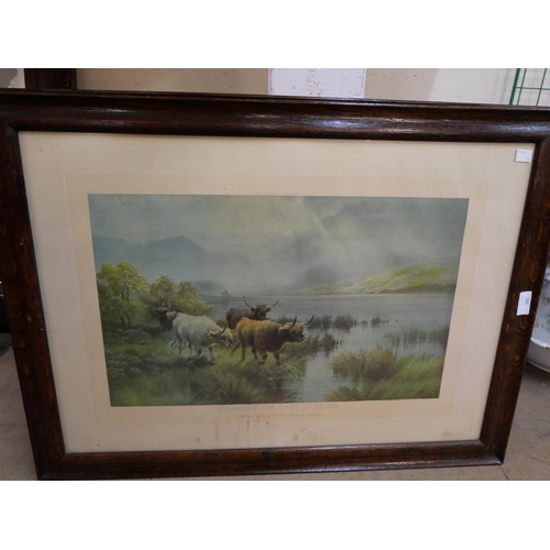 262 - Assorted prints, including Highland cattle, etc.