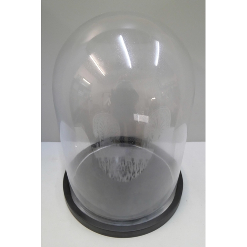 283 - A glass display dome on stand