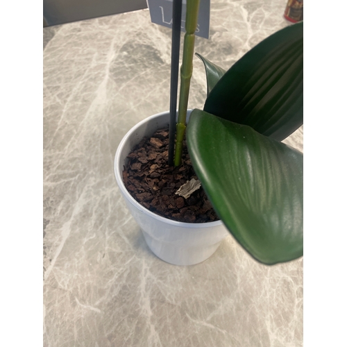 1440 - A single stem artificial Orchid, H 60cms (51237907)   #