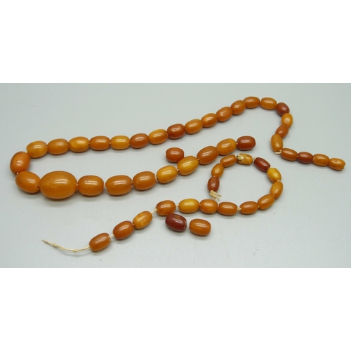 1051 - A set/string of butterscotch amber beads, needs re-stringing, 28.7g