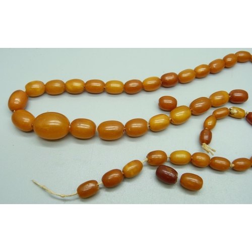 1051 - A set/string of butterscotch amber beads, needs re-stringing, 28.7g