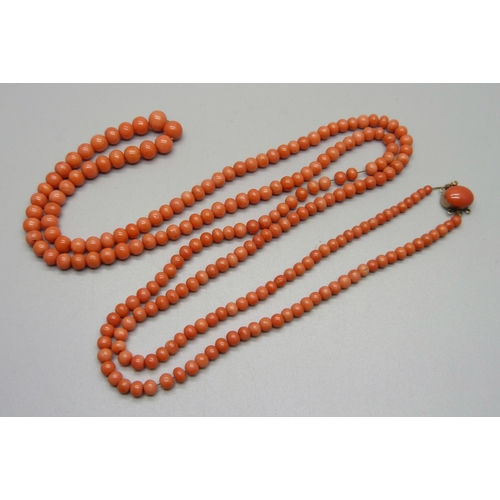 1123 - A graduated coral necklace with a yellow metal clasp, 100cm, 45g