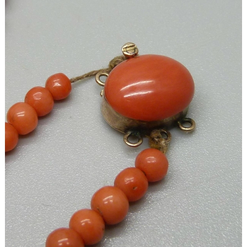 1123 - A graduated coral necklace with a yellow metal clasp, 100cm, 45g