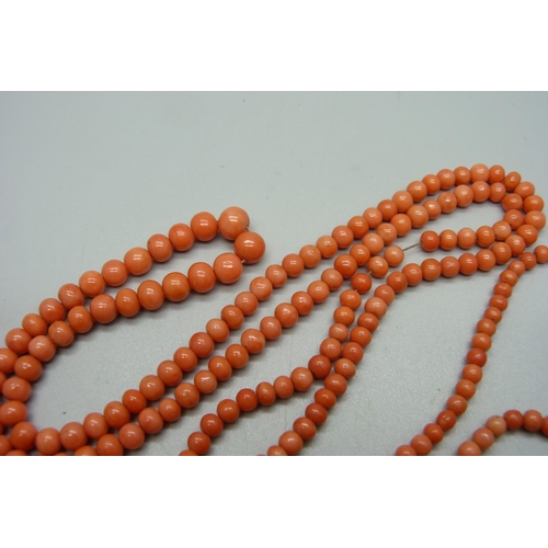 1123 - A graduated coral necklace with a yellow metal clasp, 100cm, 45g