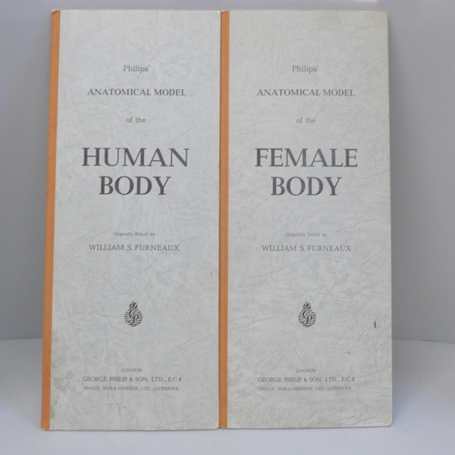 649 - Philips' Anatomical Models of Human Body, board editions, male and female edited by William Furneaux... 