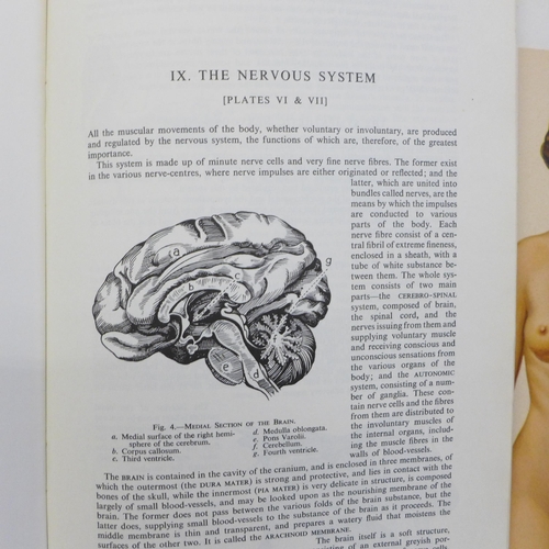 649 - Philips' Anatomical Models of Human Body, board editions, male and female edited by William Furneaux... 