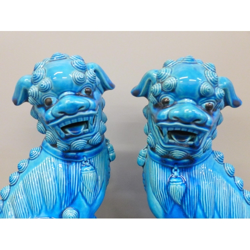 679 - A pair of pottery Chinese dogs of foo, cobalt blue, 37cm