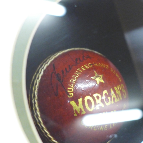 788 - A cricket display, photograph and signed Morgan's cricket ball by Shane Warne, 'The World's Greatest... 