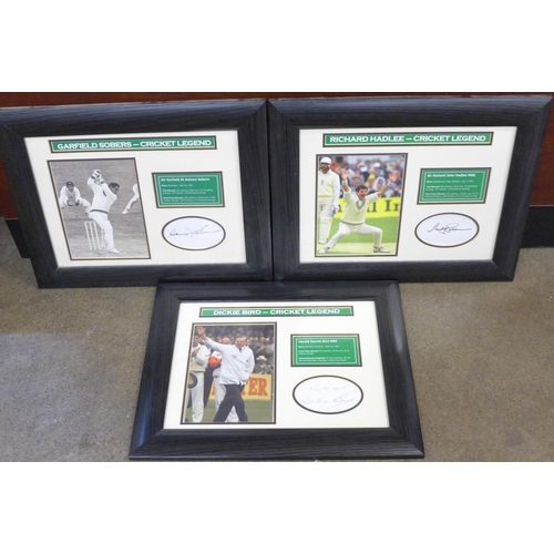 798 - Three cricket autographed displays, Dickie Bird, Sir Garfield Sobers and Sir Richard Hadlee, framed