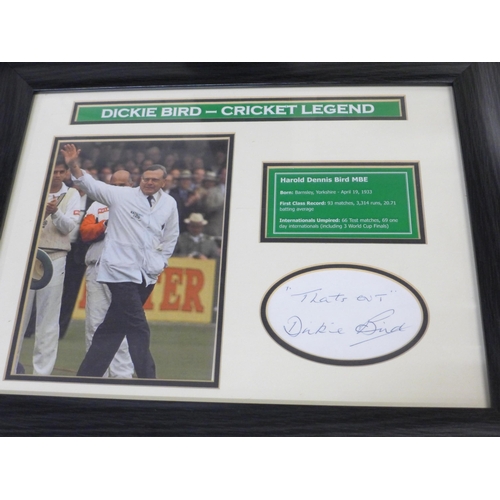 798 - Three cricket autographed displays, Dickie Bird, Sir Garfield Sobers and Sir Richard Hadlee, framed