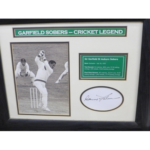 798 - Three cricket autographed displays, Dickie Bird, Sir Garfield Sobers and Sir Richard Hadlee, framed