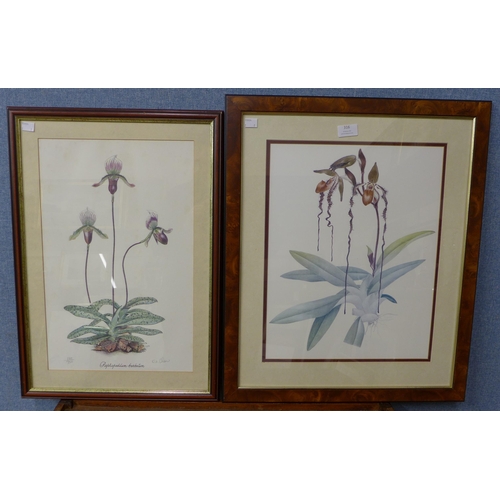 316 - Two botanical prints, framed