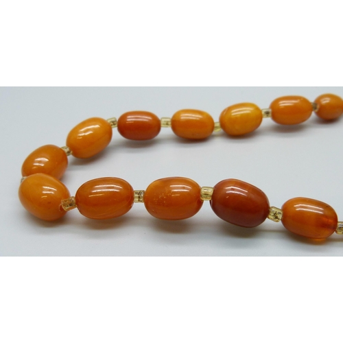 1014 - Butterscotch amber beads, 12.7g, 28cm, (no fastener)