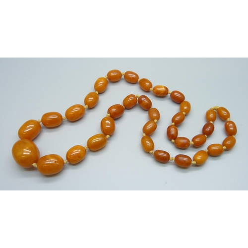 1031 - A set of butterscotch amber beads, 54.2g, 60cm