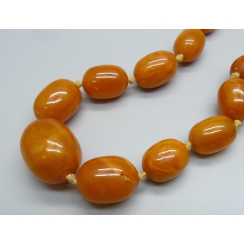 1031 - A set of butterscotch amber beads, 54.2g, 60cm