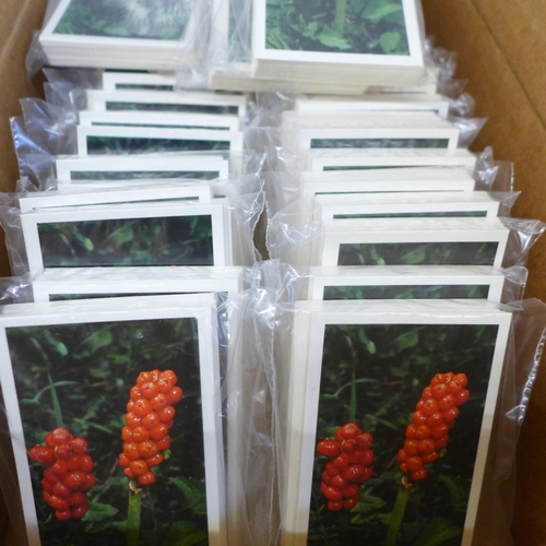 669 - A box of 77 sets of John Player & Sons (Grandee) Britain's Wild Flowers 1986 complete and sealed