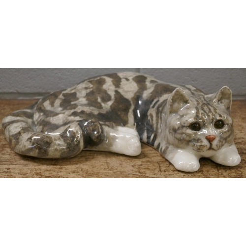 814 - A large Winstanley cat, laying, 36cm