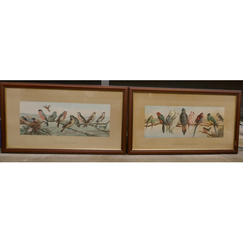 835 - A pair of unusual coloured cricket prints, An English Eleven and Australia Eleven, both of native bi... 