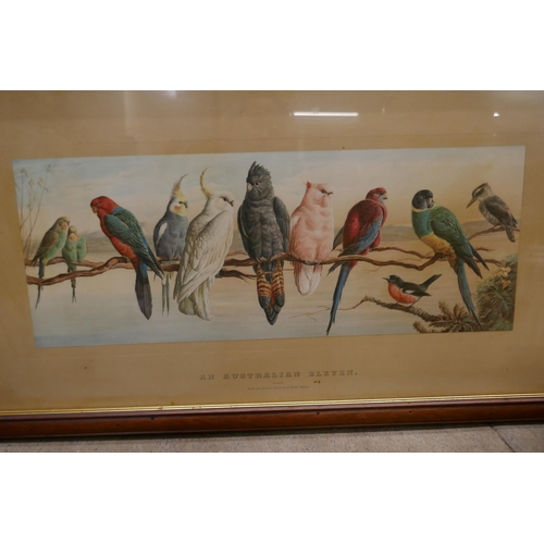 835 - A pair of unusual coloured cricket prints, An English Eleven and Australia Eleven, both of native bi... 