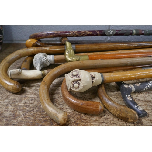 841 - A collection of walking sticks