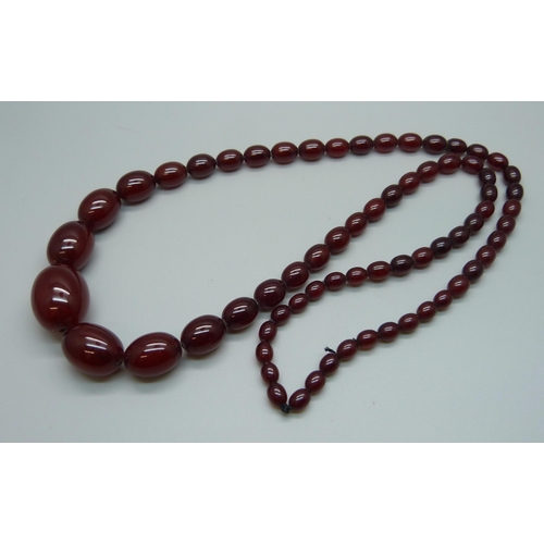 975 - A long sherry amber bead necklace, 61.3g, 40cm