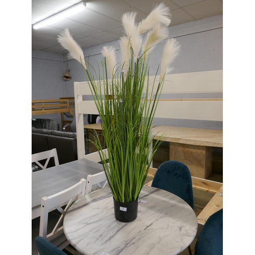 1631 - Light up battery operated pampas grass