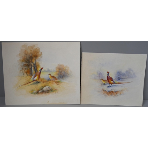 287 - James Stinton, two landscapes with pheasants, watercolour, unframed