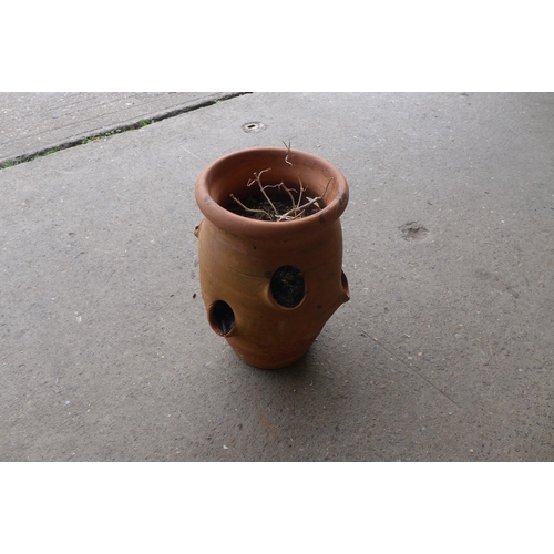 2238 - 3 Decorative plant pots