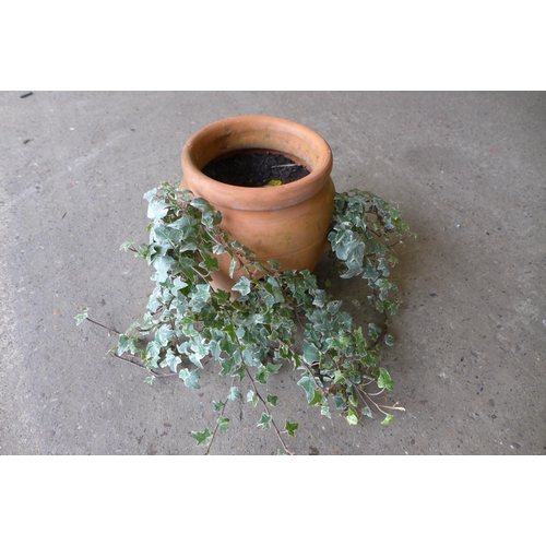 2238 - 3 Decorative plant pots