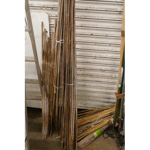 2031 - A quantity of bamboo garden canes in assorted lengths and sizes